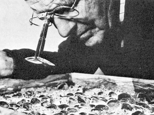 Dr. Skinner studying his plants with special lenses